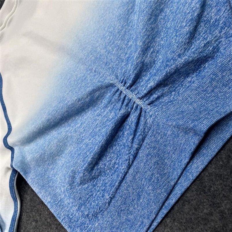 2 Piece Seamless Yoga Gym High Waist Ombre Leggings Shirts Top Suit Long Sleeve Fitness Workout Sport  Sportswear Set The Clothing Company Sydney