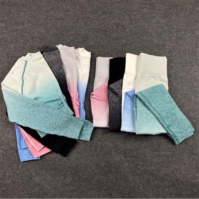 2 Piece Seamless Yoga Gym High Waist Ombre Leggings Shirts Top Suit Long Sleeve Fitness Workout Sport  Sportswear Set The Clothing Company Sydney