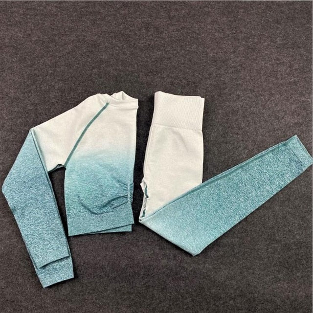 2 Piece Seamless Yoga Gym High Waist Ombre Leggings Shirts Top Suit Long Sleeve Fitness Workout Sport  Sportswear Set The Clothing Company Sydney
