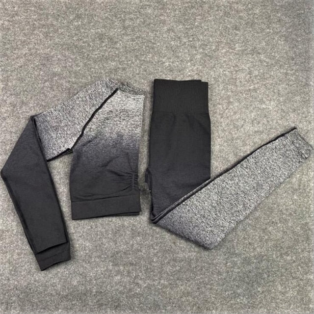 2 Piece Seamless Yoga Gym High Waist Ombre Leggings Shirts Top Suit Long Sleeve Fitness Workout Sport  Sportswear Set The Clothing Company Sydney