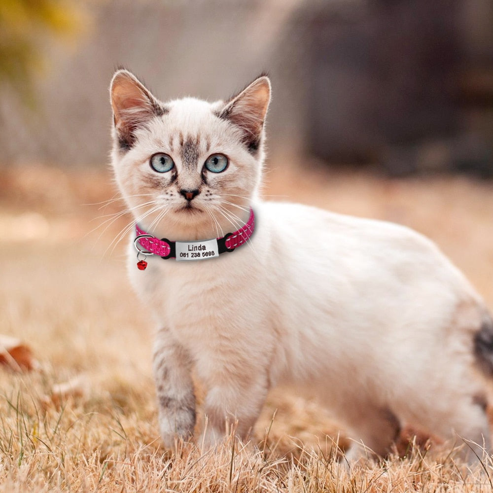 Nylon Cat Collar Personalized Pet Collars With Name ID Tag Reflective Kitten Collars Necklace For Pets Dog Accessories The Clothing Company Sydney