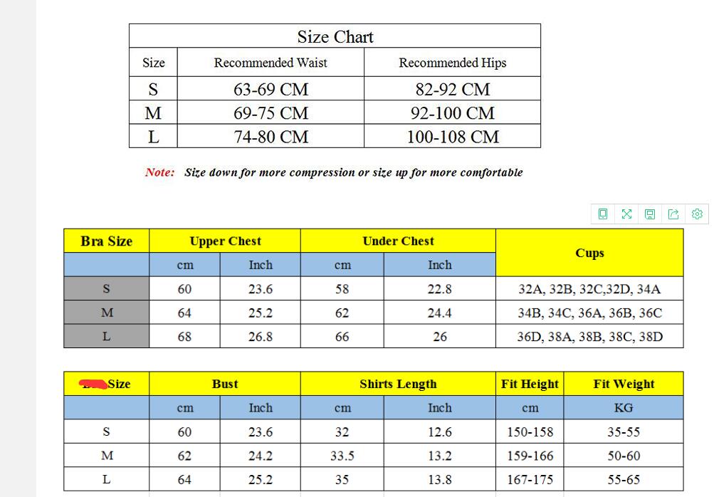 3 Piece Ladies Seamless Vital Yoga Workout Sport Pants Bra Gym Short Crop Top High Waist Running Leggings Sports Set The Clothing Company Sydney