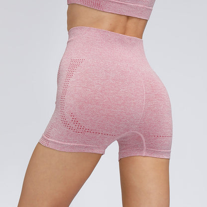 3 Piece Ladies Seamless Vital Yoga Workout Sport Pants Bra Gym Short Crop Top High Waist Running Leggings Sports Set The Clothing Company Sydney