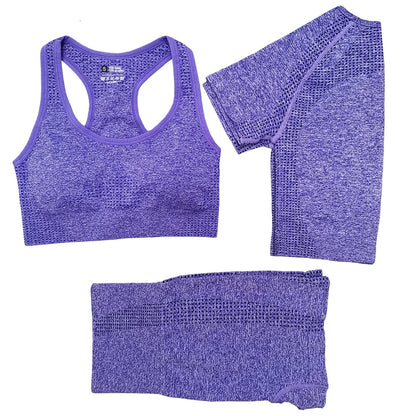 3 Piece Ladies Seamless Vital Yoga Workout Sport Pants Bra Gym Short Crop Top High Waist Running Leggings Sports Set The Clothing Company Sydney