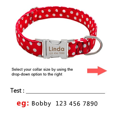 Personazlied Dog Collar Customized Pet Collar Nylon Anti-lost Nameplate Tags Engraved Collar The Clothing Company Sydney