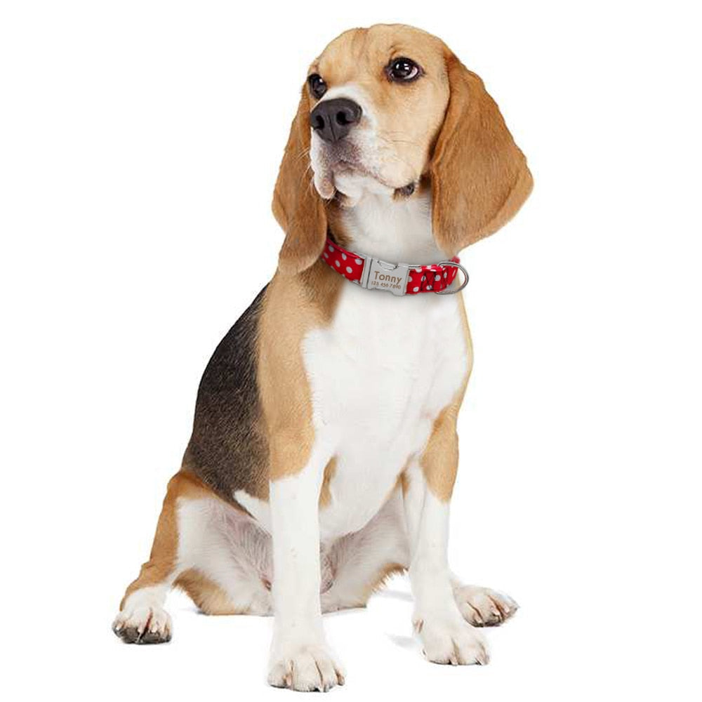 Personazlied Dog Collar Customized Pet Collar Nylon Anti-lost Nameplate Tags Engraved Collar The Clothing Company Sydney