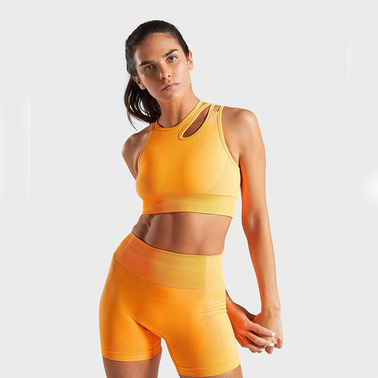 2 Piece Seamless Sports Bras Fitness Shorts Yoga Set Gym Breathable Stretch Sports Suit Running Training Wear The Clothing Company Sydney