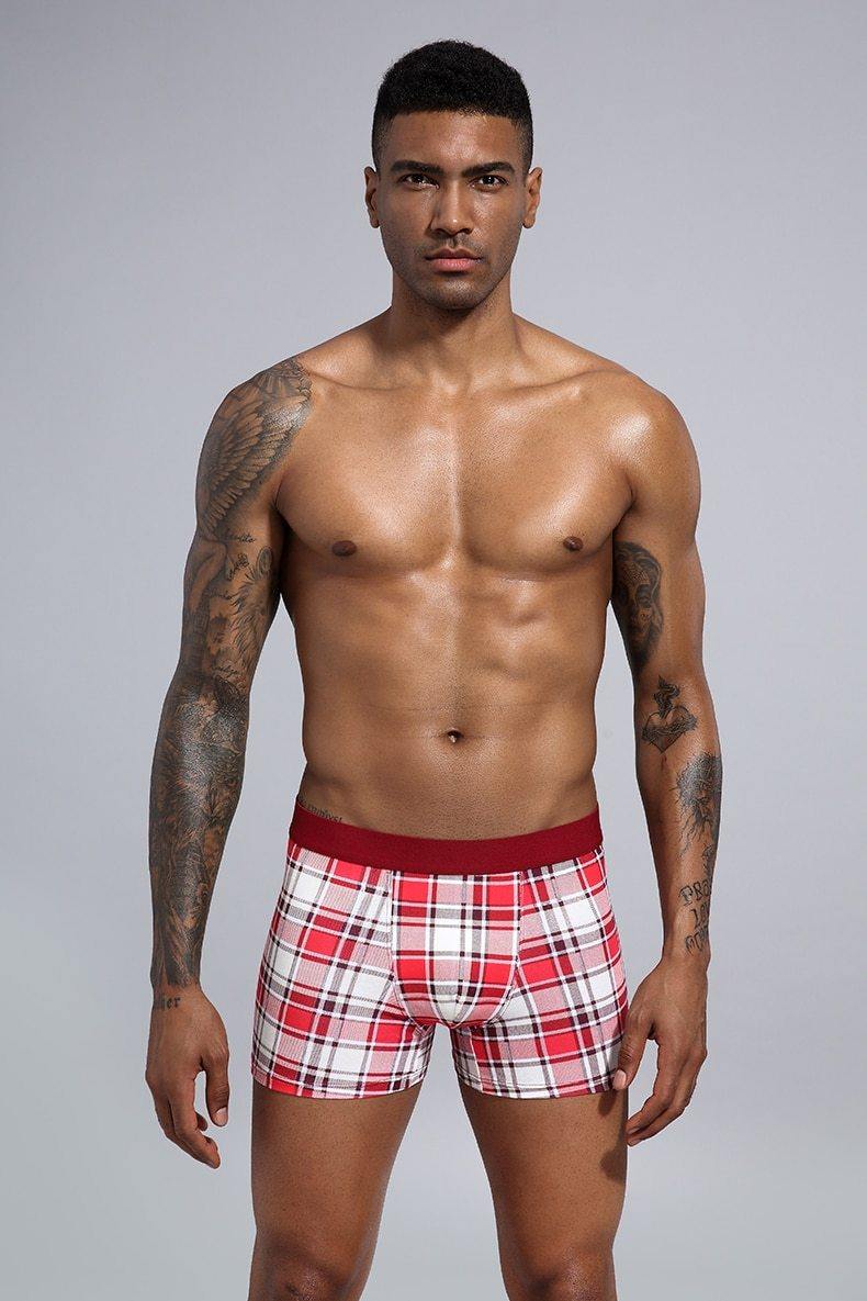 Men's Short Underwear Cotton Boxer Breathable Shorts Boxers Underpants The Clothing Company Sydney