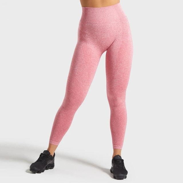 14 Color Seamless Yoga Pants Leggings for Fitness High Waist Tights Sports Pants Gym Clothing Sportwear The Clothing Company Sydney