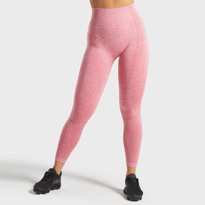 14 Color Seamless Yoga Pants Leggings for Fitness High Waist Tights Sports Pants Gym Clothing Sportwear The Clothing Company Sydney