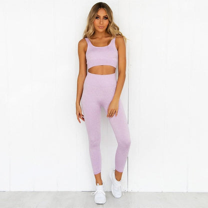 2 Piece Set Yoga Seamless Gym Yoga Women High Waist Sport Bra Top Fitness Clothing Sport Pants Leggings The Clothing Company Sydney
