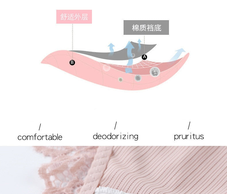 3 Pack Briefs Lace Panties Underwear Lingerie  Floral Underpants Undies The Clothing Company Sydney