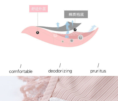 3 Pack Briefs Lace Panties Underwear Lingerie  Floral Underpants Undies The Clothing Company Sydney