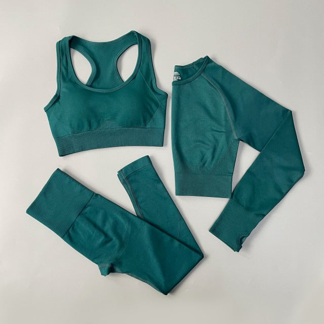 3 Piece Fitness Women Yoga Set Seamless Sportswear workout sport leggings+top+Bra Gym Set Woman Gym Clothing shorts sets 2021 HOT The Clothing Company Sydney