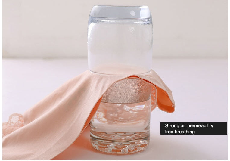 3 pack Women's lingerie Lace Underwear Seamless Panties Brief Ice Silk intimates Underpants Cotton briefs The Clothing Company Sydney