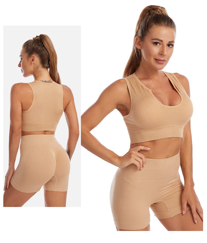 2 Piece Yoga Set Gym Set Workout Seamless Leggings Sports Bra Suit Female Clothing High Waist Shorts Set The Clothing Company Sydney