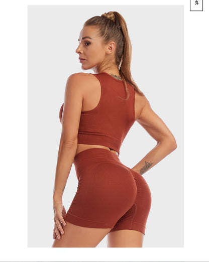 2 Piece Yoga Set Gym Set Workout Seamless Leggings Sports Bra Suit Female Clothing High Waist Shorts Set The Clothing Company Sydney