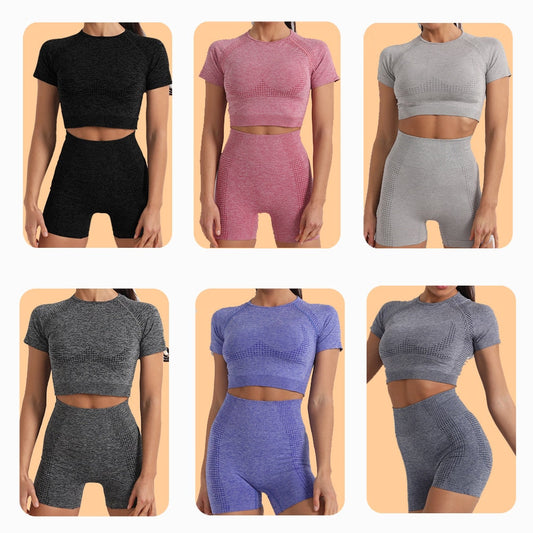 2 Piece Gym Sportwear Yoga Set Suit for Fitness Sport Outfit Seamless Leggings Sports Shorts Top Workout Set The Clothing Company Sydney