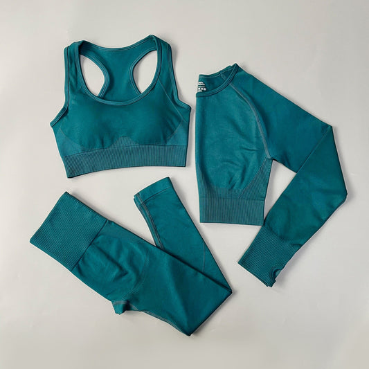 3 Piece Fitness Women Yoga Set Seamless Sportswear workout sport leggings+top+Bra Gym Set Woman Gym Clothing shorts sets 2021 HOT The Clothing Company Sydney
