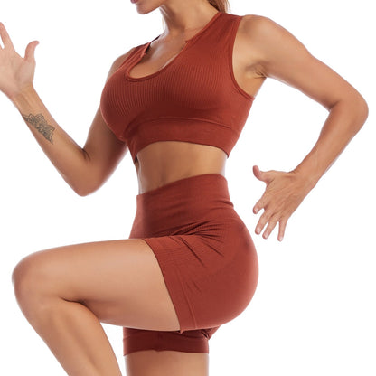 2 Piece Yoga Set Gym Set Workout Seamless Leggings Sports Bra Suit Female Clothing High Waist Shorts Set The Clothing Company Sydney