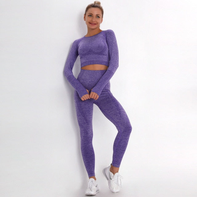 2 Piece Gym Sportwear Yoga Set Suit for Fitness Sport Outfit Seamless Leggings Sports Shorts Top Workout Set The Clothing Company Sydney