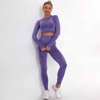 2 Piece Gym Sportwear Yoga Set Suit for Fitness Sport Outfit Seamless Leggings Sports Shorts Top Workout Set The Clothing Company Sydney