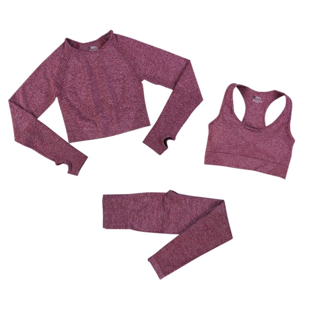 2 Piece Gym Sportwear Yoga Set Suit for Fitness Sport Outfit Seamless Leggings Sports Shorts Top Workout Set The Clothing Company Sydney