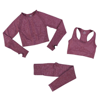 2 Piece Gym Sportwear Yoga Set Suit for Fitness Sport Outfit Seamless Leggings Sports Shorts Top Workout Set The Clothing Company Sydney