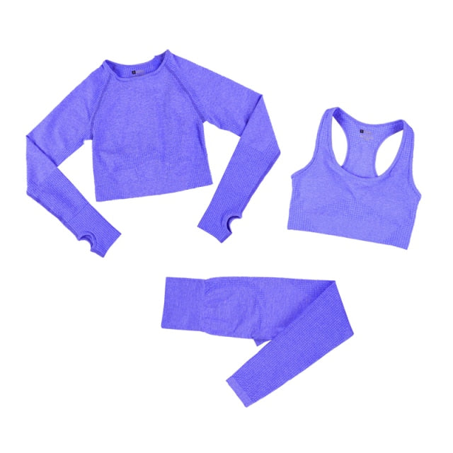 2 Piece Gym Sportwear Yoga Set Suit for Fitness Sport Outfit Seamless Leggings Sports Shorts Top Workout Set The Clothing Company Sydney
