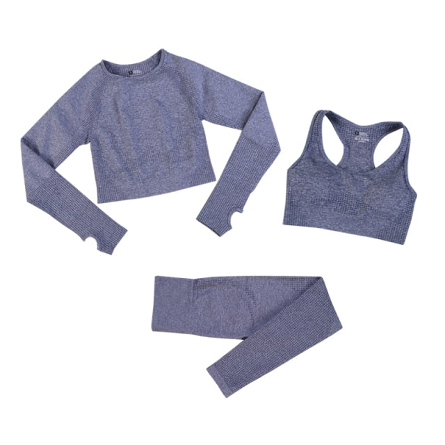 2 Piece Gym Sportwear Yoga Set Suit for Fitness Sport Outfit Seamless Leggings Sports Shorts Top Workout Set The Clothing Company Sydney