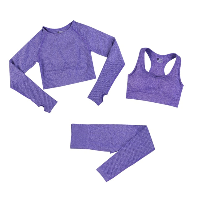 2 Piece Gym Sportwear Yoga Set Suit for Fitness Sport Outfit Seamless Leggings Sports Shorts Top Workout Set The Clothing Company Sydney