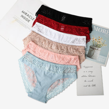 3 Pack Lace Underwear Panties Set Intimate Lingerie Cotton Briefs Transparent Undies The Clothing Company Sydney