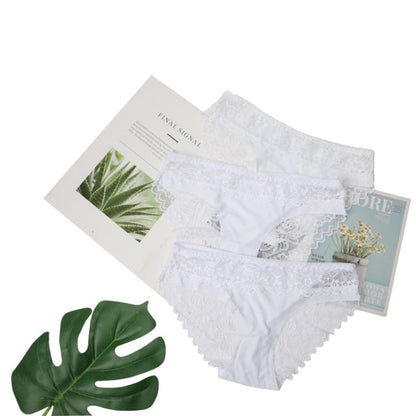 3 Pack Lace Underwear Panties Set Intimate Lingerie Cotton Briefs Transparent Undies The Clothing Company Sydney