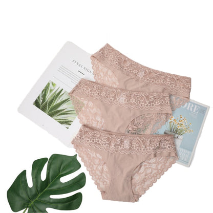 3 Pack Lace Underwear Panties Set Intimate Lingerie Cotton Briefs Transparent Undies The Clothing Company Sydney