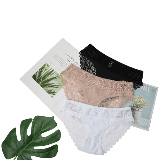 3 Pack Lace Underwear Panties Set Intimate Lingerie Cotton Briefs Transparent Undies The Clothing Company Sydney