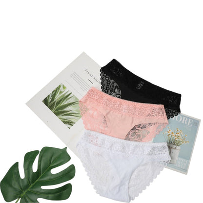 3 Pack Lace Underwear Panties Set Intimate Lingerie Cotton Briefs Transparent Undies The Clothing Company Sydney