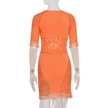 Cut Out Zebra Mesh Transparent Mini Beach Holiday Party Club Bodycon Pencil Dress The Clothing Company Sydney