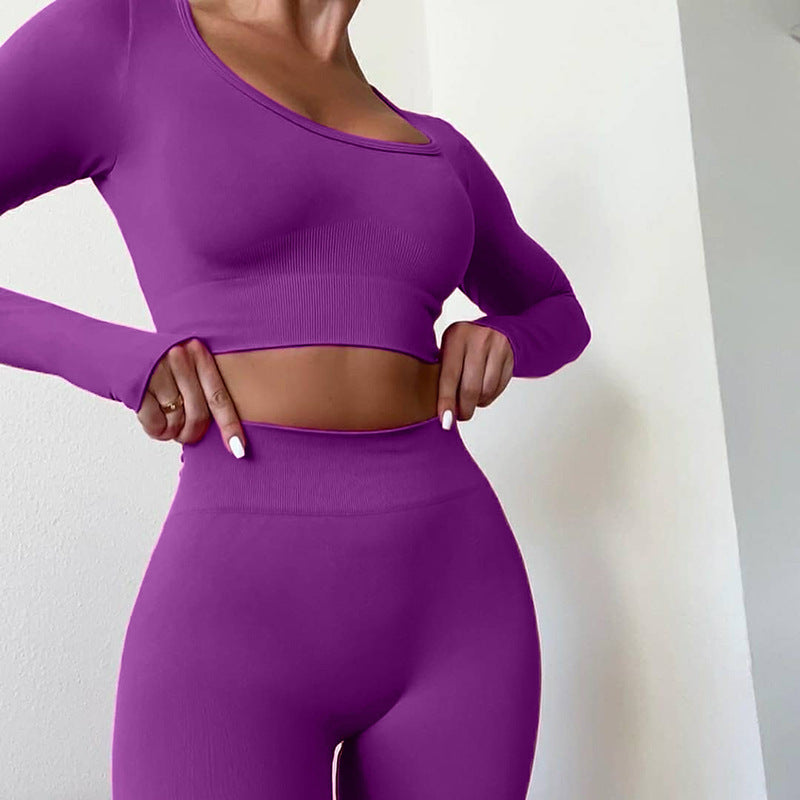 2 Piece Gym Fitness High Waist Running Sportswear Sports Long Sleeve Leggings Suit Seamless Yoga Wear The Clothing Company Sydney