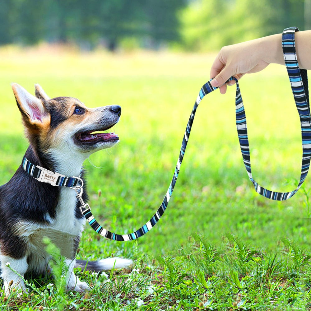 6 Colors Leash Lead Nylon Printed Pet Walking Leash Mesh Padded Running Training Leashes Rope For Small Medium Dogs The Clothing Company Sydney