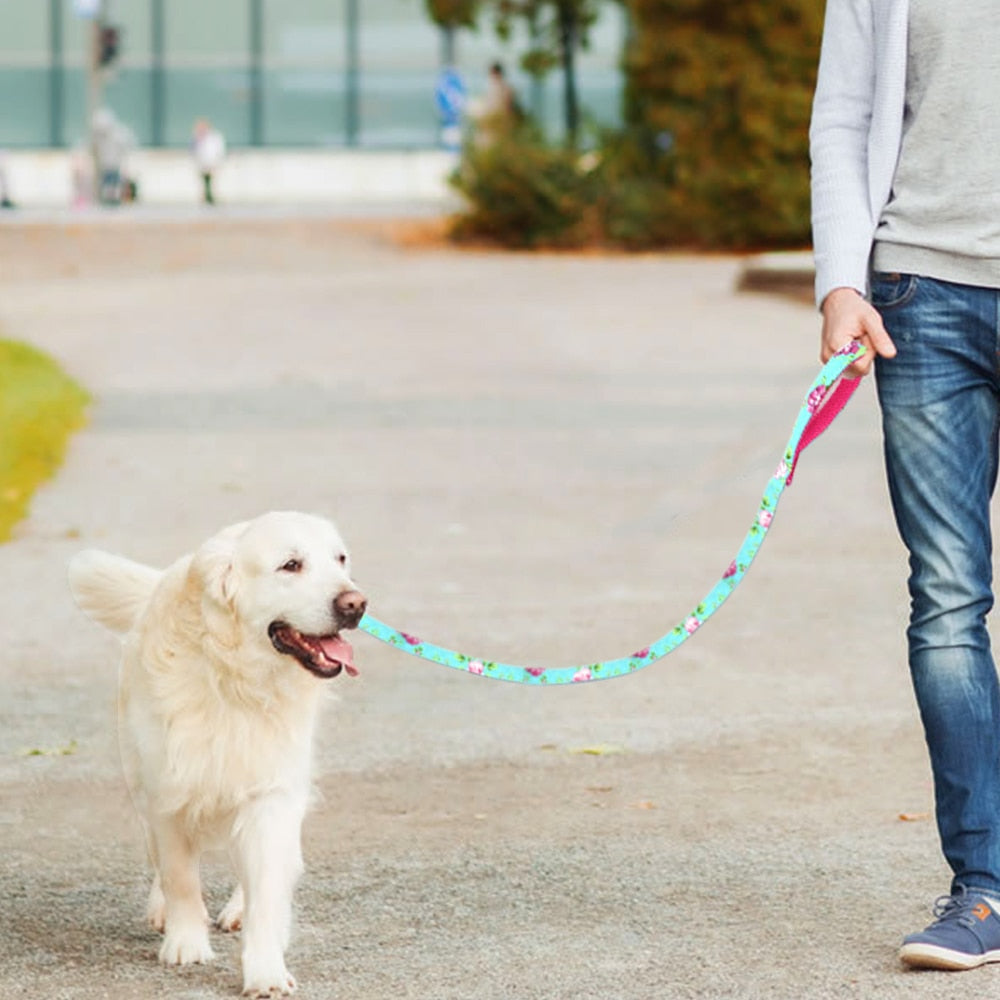 6 Colors Leash Lead Nylon Printed Pet Walking Leash Mesh Padded Running Training Leashes Rope For Small Medium Dogs The Clothing Company Sydney
