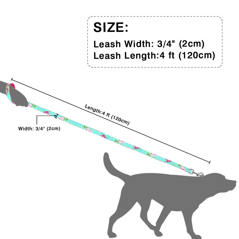 6 Colors Leash Lead Nylon Printed Pet Walking Leash Mesh Padded Running Training Leashes Rope For Small Medium Dogs The Clothing Company Sydney